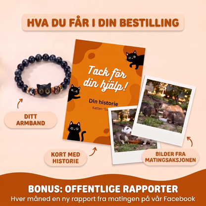 Armbånd Sølvtåke