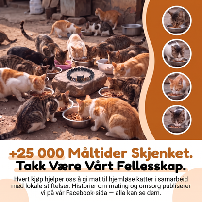 Armbånd Sølvtåke